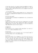 [마케팅] 대한항공의 마케팅 전략과 향후 개선책-12