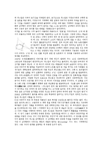 [블레즈 파스칼]블레즈 파스칼의 생애,연표, 블레즈 파스칼의 합리주의, 블레즈 파스칼과 데자르그, 블레즈 파스칼의 삼각형,팡세 분석-3