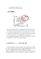 [경영학] 퓨전 떡 카페 사업계획서-8