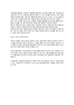 [MIS] 인천국제공항의 경영정보 시스템 조사-18