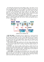 [유통전략] 주류산업의 국내외 유통 현황과 대안-15