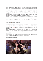 [마케팅] 온라인게임의 스타 마케팅의 성공및 실패사례 분석-10
