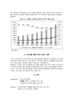[국제마케팅] 카카오의 중국진출 전략-12