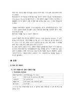 [경영학] 저가 항공사의 성공, 실패 사례-4