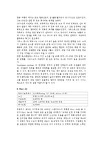 [경영학] 저가 항공사의 성공, 실패 사례-5