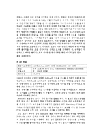 [경영학] 저가 항공사의 성공, 실패 사례-6