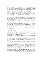 [경영학] 저가 항공사의 성공, 실패 사례-8
