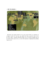 [국제경영] 현대 자동차의 국제 마케팅 사례-6