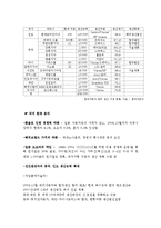 [국제경영] 현대 자동차의 국제 마케팅 사례-7