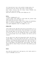 [국제경영] 현대 자동차의 국제 마케팅 사례-10