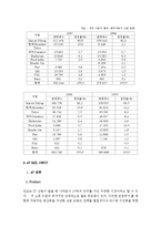 [국제경영] 현대 자동차의 국제 마케팅 사례-15