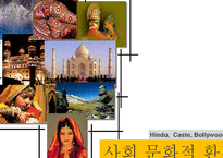 [국제경영] 인도 시장 조사 및 한국 기업의 인도 진출 성공 사례-현대자동차, LG전자-11
