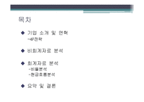 [경영분석] 하이닉스 기업 경영분석(~2010)-2