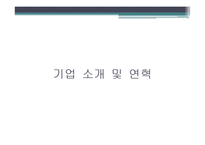 [경영분석] 하이닉스 기업 경영분석(~2010)-3