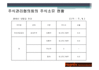 [경영분석] 하이닉스 기업 경영분석(~2010)-8