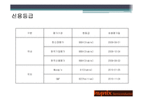 [경영분석] 하이닉스 기업 경영분석(~2010)-9
