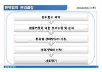[국제재무전략] 기업의 환위험관리 - 대한항공-8
