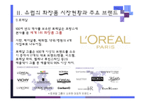 [경영학] 유럽시장과 기업진출환경-화장품, 향수 태평양화장품(아모레퍼시픽)의 유럽시장 진출기-7