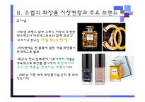 [경영학] 유럽시장과 기업진출환경-화장품, 향수 태평양화장품(아모레퍼시픽)의 유럽시장 진출기-9