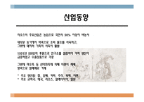 [국제경제] 라오스 시장 연구-11