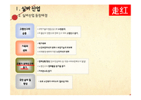 [국제경영] 중국의 실버산업 시장 분석 및 진출 전략-6