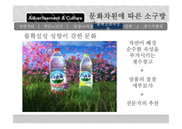 [국제 커뮤니케이션] 문화차원에 따른 광고 속 보편적 가치의 빈도 차이 분석-국제광고제 수상작 사례-19