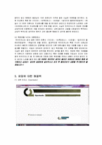 디지털미디어와 문화-인터넷상의 정보공유에 대하여(위키리크스사건 중심)-10