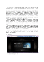 디지털미디어와 문화-인터넷상의 정보공유에 대하여(위키리크스사건 중심)-11