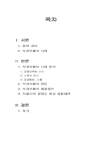 [현대사회문제] 공직과 부정부패-2