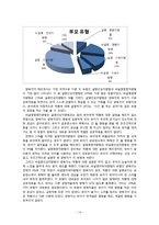 [아동학] 박물관에서의 양육자의 태도(설명유형)에 따른 유아의 반응 유형에 대한 분석-16