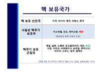 [국가안보론] 남한의 핵무장 찬반 토론-4