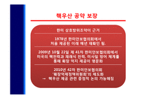 [국가안보론] 남한의 핵무장 찬반 토론-11