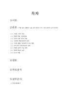 [교육사회학] 사교육 열풍과 학업성취와의 관계-2