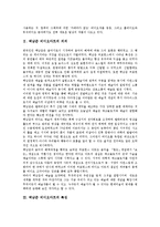 [백남준 비디오아트]백남준 비디오아트의 의의,특징, 백남준 비디오아트의 분야,위성예술, 백남준 비디오아트의 작품 분석-3