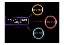 동아제약 박카스 기업 및 제품 분석 마케팅 전략 국제 마케팅 해외 진출 전략-16
