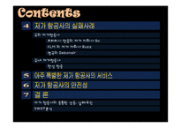 [경영학] 저가 항공사의 성공, 실패 사례-3