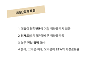 [재무관리] 오리온의 재무비율 분석(~2010)-4