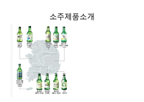 [소비자행동론] 소주시장의 광고 분석-2