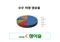 [소비자행동론] 소주시장의 광고 분석-3