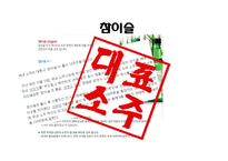 [소비자행동론] 소주시장의 광고 분석-5