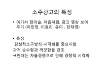 [소비자행동론] 소주시장의 광고 분석-11