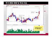 [투자론] 모의투자-KT, 하이닉스, 현대차, CJ E&M, LG 패션(2011년)-14