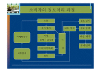 [소비자행동론] 소비자의 지각, 노출, 환기, 기억과 망각-3