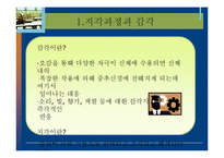 [소비자행동론] 소비자의 지각, 노출, 환기, 기억과 망각-4