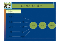 [소비자행동론] 소비자의 지각, 노출, 환기, 기억과 망각-5
