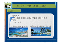 [소비자행동론] 소비자의 지각, 노출, 환기, 기억과 망각-12