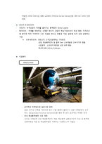 [국제경영학](주)동국S&C 성공요인 분석-4