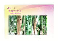[마케팅 관리] 감성마케팅의 활용 현황과 나아가야 할 방향-12