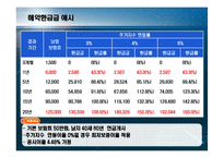[경영학] 변액 연금 보험상품 기획안-17
