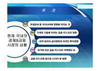 [증권시장론] 국내외 금융리스크-3